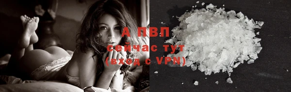 Альфа ПВП Сосновый Бор