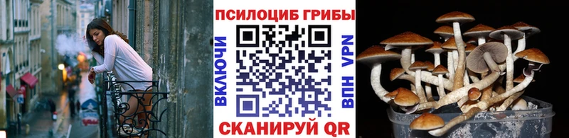 Галлюциногенные грибы GOLDEN TEACHER  Волосово 
